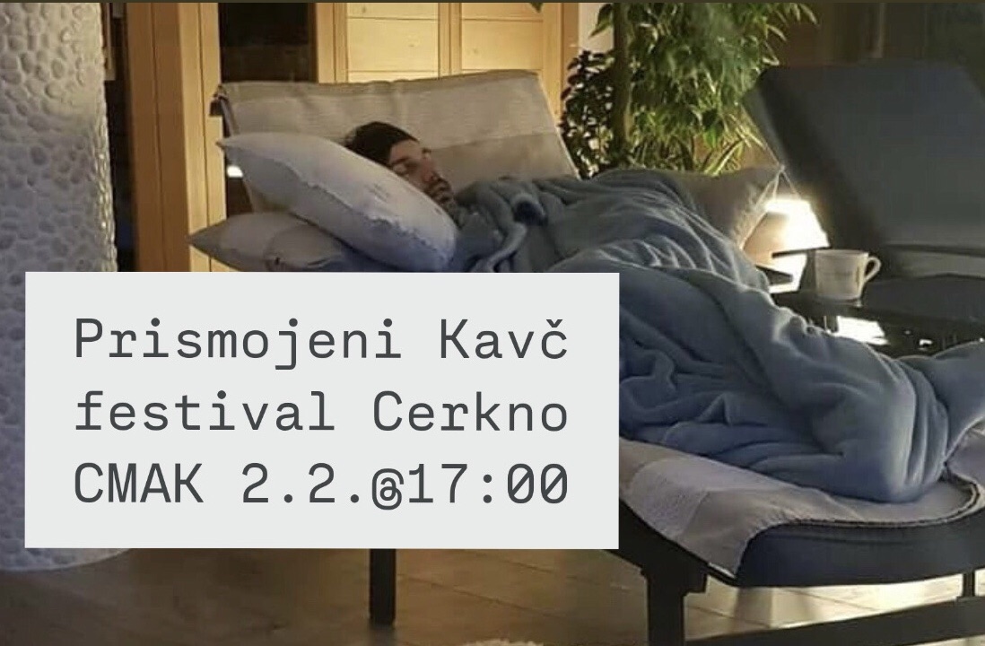 prismojeni_profesorji_kauc_festival